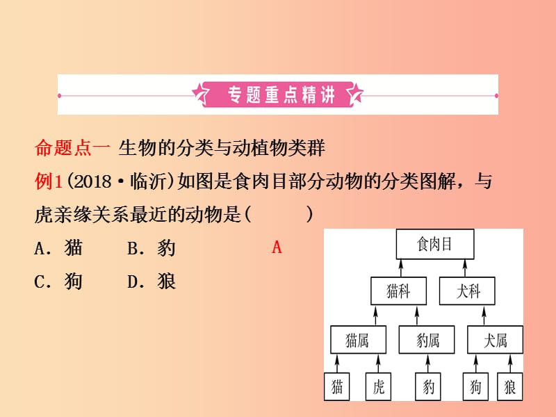 （江西专版）2019中考生物 第2部分 专题九 生物分类与生命演化复习课件.ppt_第2页