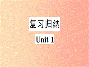 （湖南專版）八年級(jí)英語上冊(cè) Unit 1 Where did you go on vacation復(fù)習(xí)歸納新人教 新目標(biāo)版.ppt