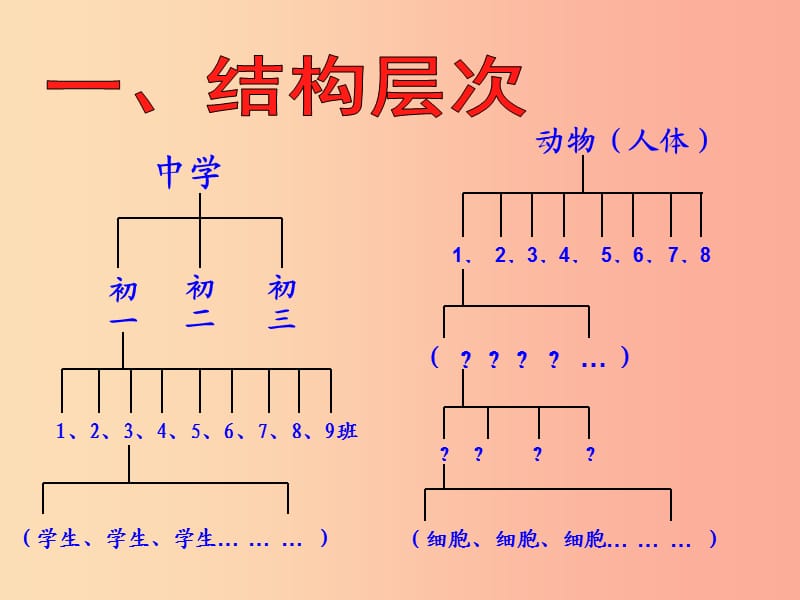 安徽省七年级生物上册 2.2.2《动物体的结构层次》课件3 新人教版.ppt_第2页