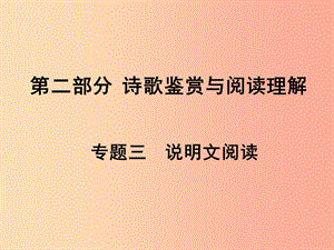 湖南省2019中考語文面對面 專題三 說明文閱讀復(fù)習(xí)課件.ppt