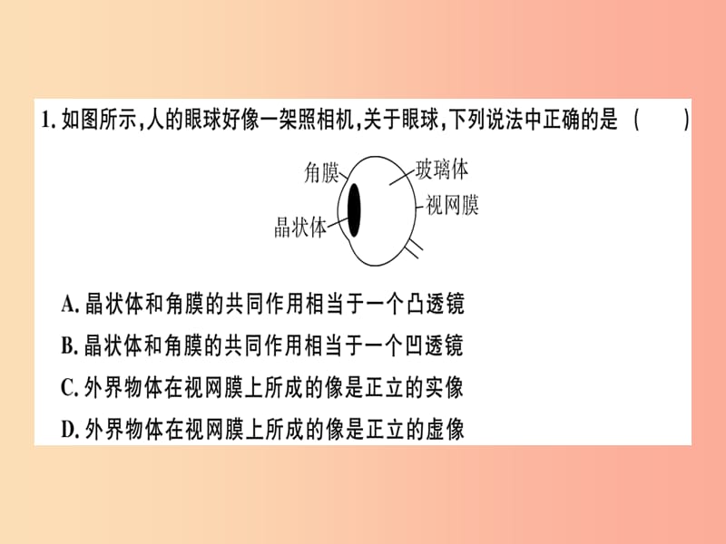 （广东专用）2019年八年级物理上册 第五章 第4节 眼睛和眼镜8分钟小练习课件 新人教版.ppt_第1页