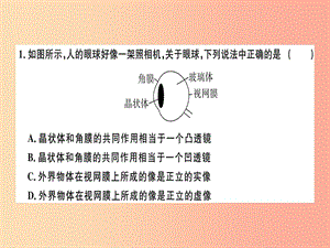 （廣東專用）2019年八年級(jí)物理上冊(cè) 第五章 第4節(jié) 眼睛和眼鏡8分鐘小練習(xí)課件 新人教版.ppt