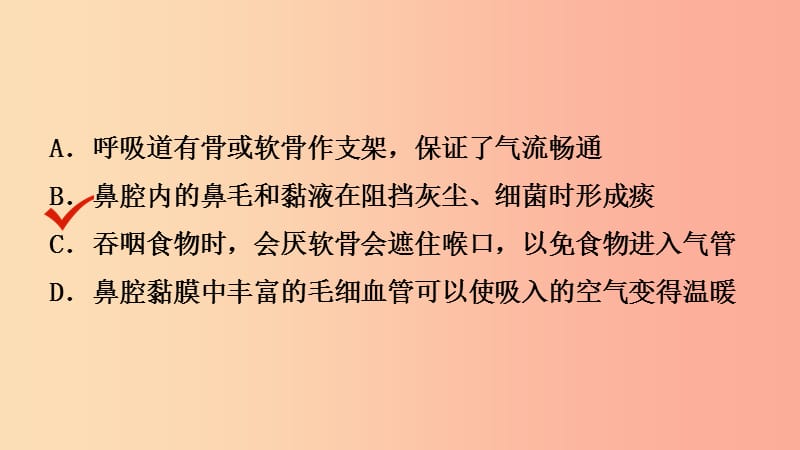 山东省2019年中考生物总复习 第四单元 生物圈中的人 第三章 人体的呼吸课件.ppt_第3页