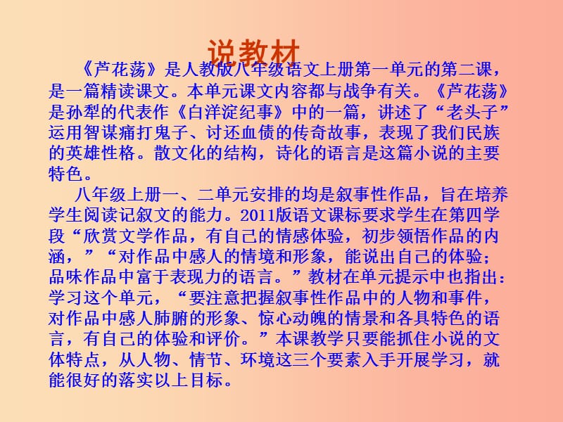 河北省中考语文 芦花荡复习课件 新人教版.ppt_第2页