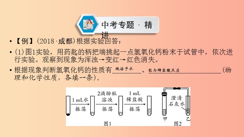 （江西专用）2019中考化学总复习 第二部分 专题综合强化 专题七 实验探究题 类型3 有关物质性质的探究课件.ppt_第2页