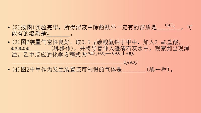 （江西专用）2019中考化学总复习 第二部分 专题综合强化 专题七 实验探究题 类型3 有关物质性质的探究课件.ppt_第3页