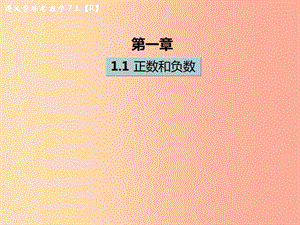 （遵義專版）2019年七年級(jí)數(shù)學(xué)上冊(cè) 第一章 有理數(shù) 1.1 正數(shù)和負(fù)數(shù)課后作業(yè)課件 新人教版.ppt