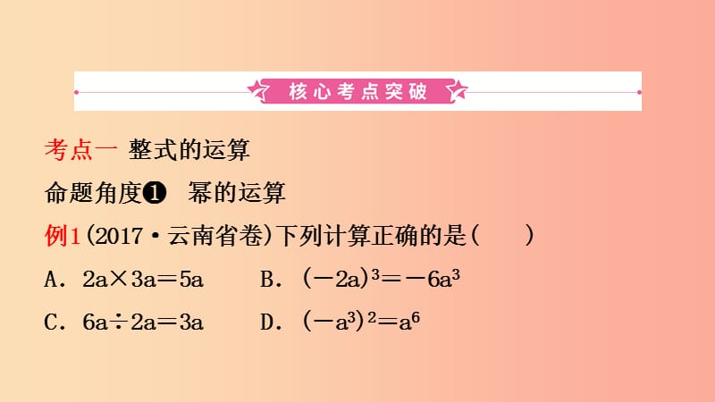 云南省2019年中考数学总复习 第一章 数与式 第三节 整式与因式分解课件.ppt_第2页