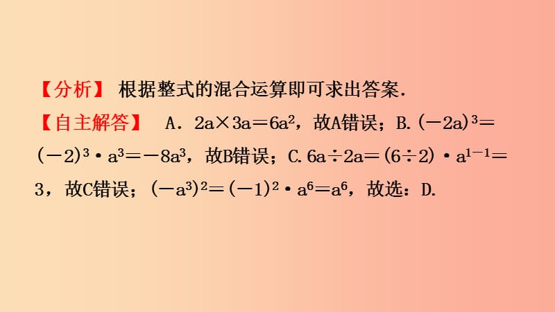 云南省2019年中考数学总复习 第一章 数与式 第三节 整式与因式分解课件.ppt_第3页