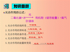 吉林省長春市七年級生物上冊 第三單元 第五章 第二節(jié) 綠色植物的呼吸作用課件3 新人教版.ppt