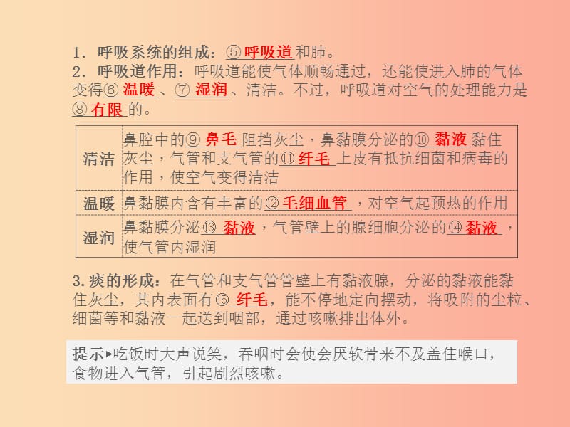 （聊城专版）山东省2019年中考生物总复习 第四单元 生物圈中的人 第三章 人体的呼吸课件.ppt_第2页