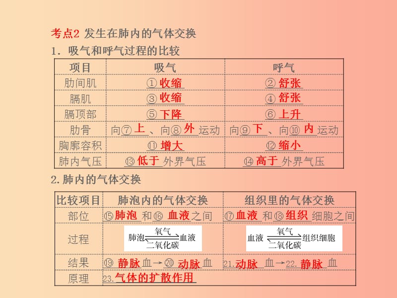 （聊城专版）山东省2019年中考生物总复习 第四单元 生物圈中的人 第三章 人体的呼吸课件.ppt_第3页