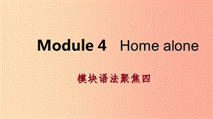 廣西2019年秋九年級英語上冊 Module 4 Home alone語法聚焦四課件（新版）外研版.ppt