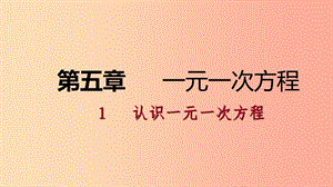 七年級數(shù)學上冊 第五章 一元一次方程 5.1 認識一元一次方程 5.1.1 一元一次方程練習課件 北師大版.ppt