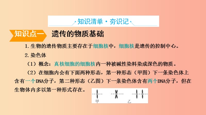 山东省2019年中考生物主题复习十五生物的遗传与变异课件济南版.ppt_第2页