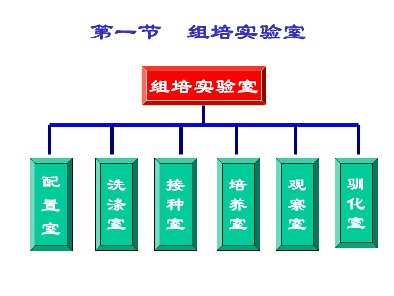 实验设备及培养条.ppt_第3页