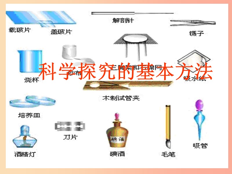 七年级生物上册 1.2.2《生物学研究的基本方法》课件1 （新版）北师大版.ppt_第1页