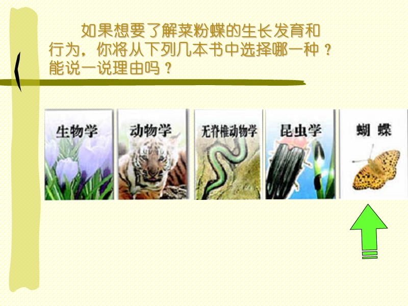 尝试对生物进行分类.ppt_第3页