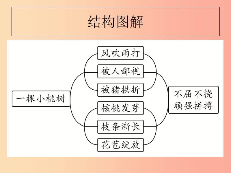 山东省七年级语文下册 第五单元 第18课 一颗小桃树课件 新人教版.ppt_第3页