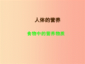 安徽省七年級生物下冊 4.2.1《食物中的營養(yǎng)物質(zhì)》課件4 新人教版.ppt