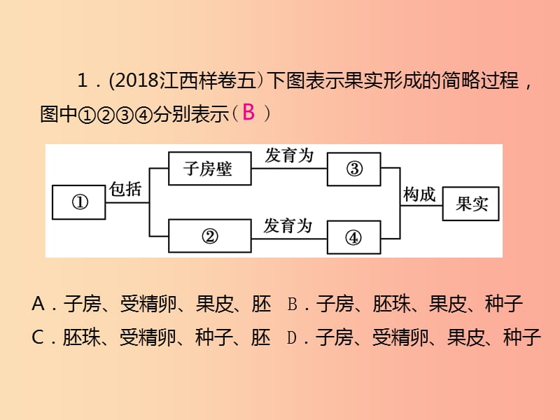 （江西专版）2019年中考生物总复习 仿真测试卷二（测试范围：生物与环境　生物圈中的绿色植物）课件.ppt_第2页