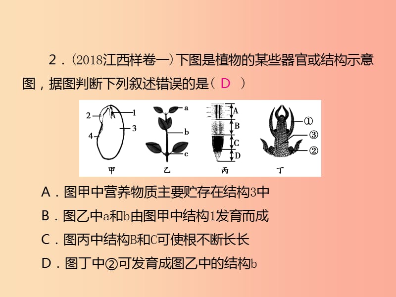 （江西专版）2019年中考生物总复习 仿真测试卷二（测试范围：生物与环境　生物圈中的绿色植物）课件.ppt_第3页