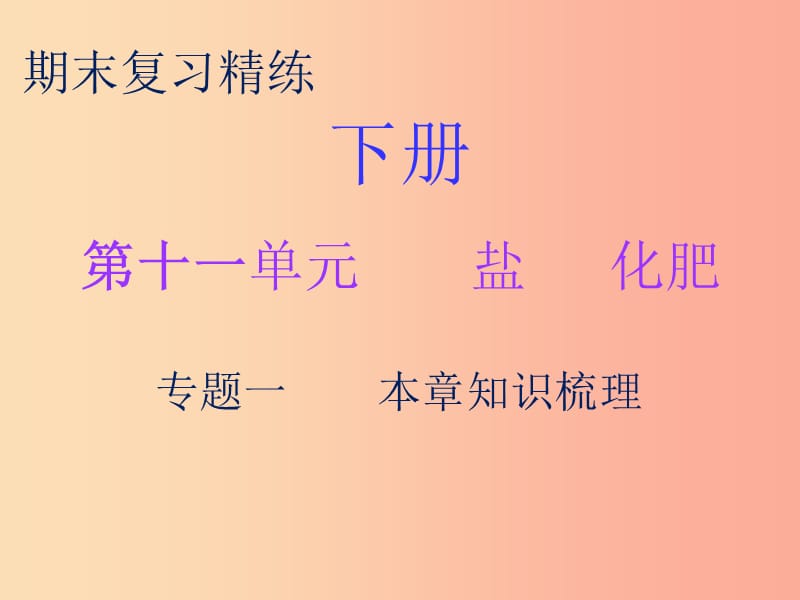 2019秋九年级化学下册 期末复习精炼 第十一单元 盐 化肥 专题一 本章知识梳理课件 新人教版.ppt_第1页