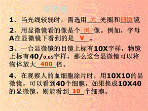 陜西省七年級(jí)生物上冊(cè) 2.1.2植物細(xì)胞課件 新人教版.ppt