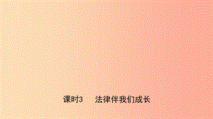 河北省2019年中考道德與法治 專題復習二 課時3 法律伴我們成長課件.ppt