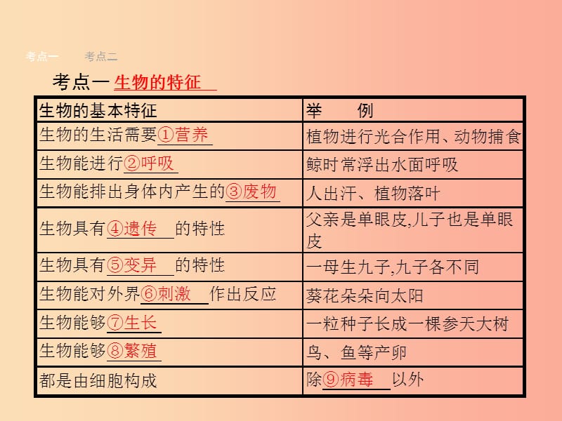 甘肃省2019年中考生物总复习 第一讲 认识生物课件.ppt_第3页