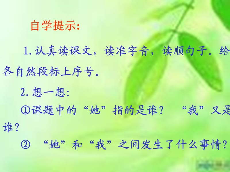 《她是我的朋友》PPT课件.ppt_第2页