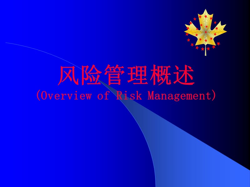 《风险管理概述》PPT课件.ppt_第3页