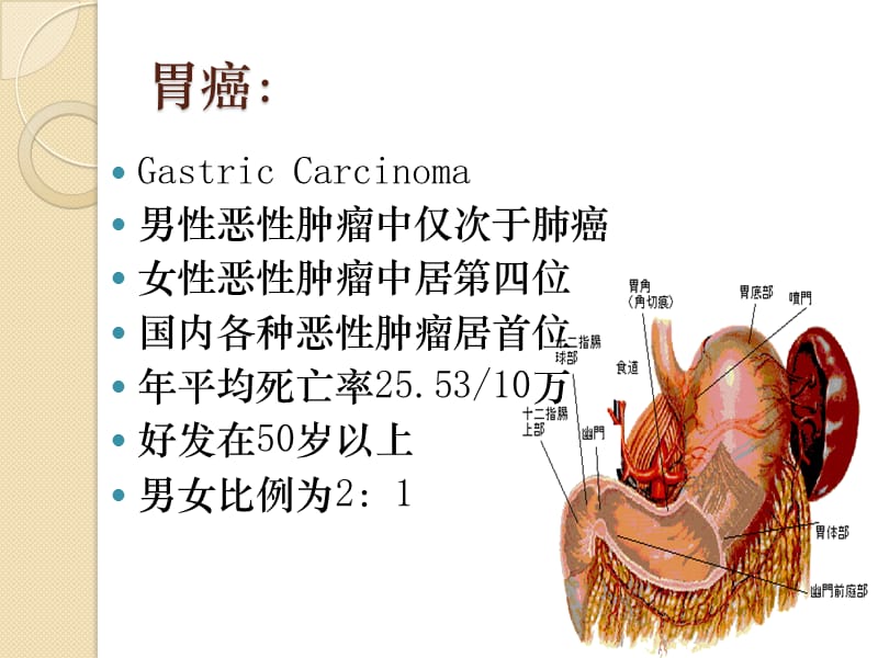 《胃癌病人的护理》PPT课件.ppt_第2页