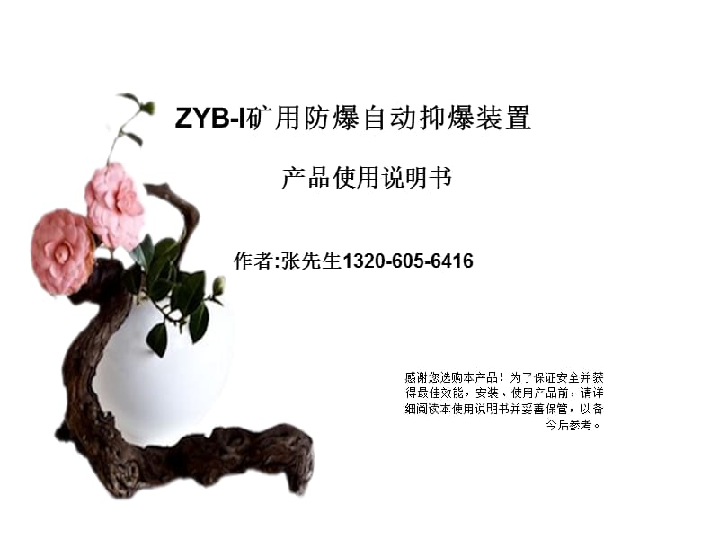 ZYB防爆自动抑爆装置.ppt_第1页