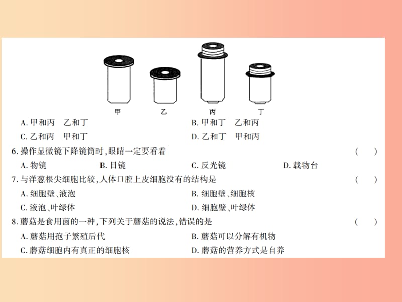 2019年七年级生物上册 第二单元 生物体的结构综合测评卷课件（新版）北师大版.ppt_第3页