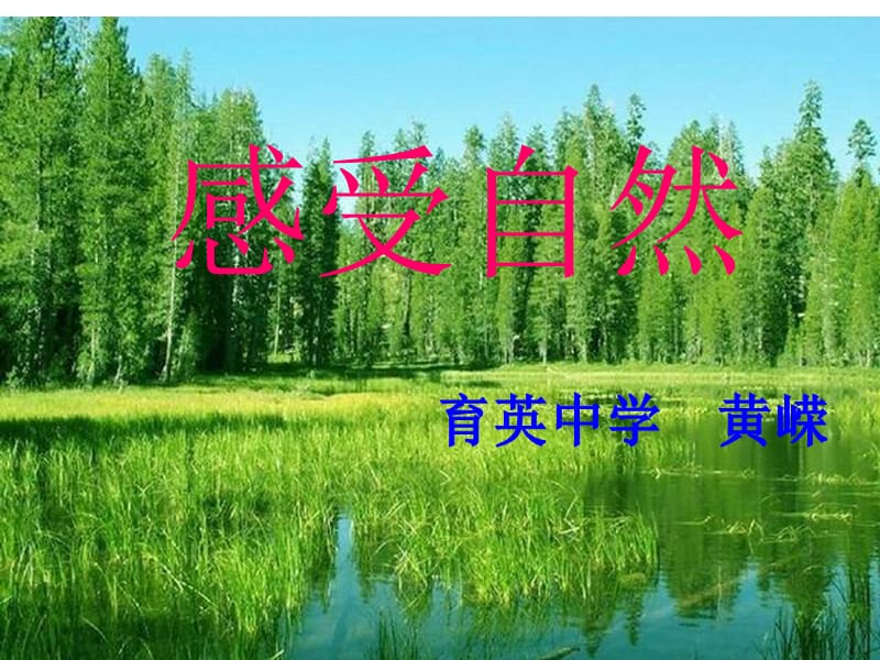 C《感受自然》写作.ppt_第1页