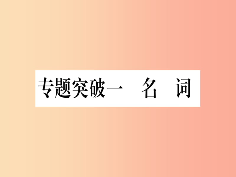 （湖北专用版）2019版中考英语专题高分练 专题突破一 名词实用课件.ppt_第1页