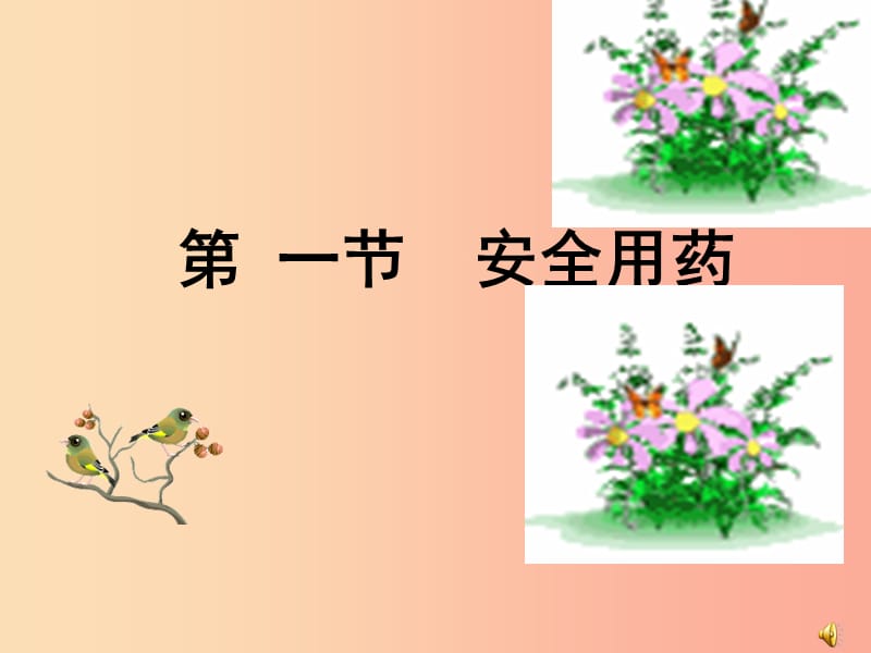 七年级生物下册 5.2.1《安全用药》课件3 鲁科版五四制.ppt_第2页