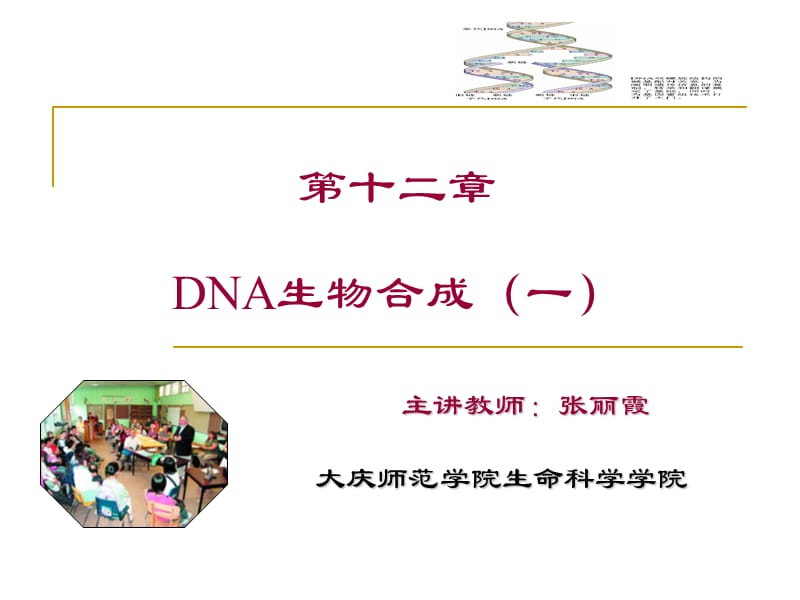 QDNA生物合成之一.ppt_第1页