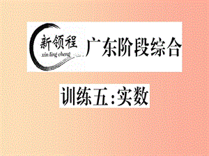 （廣東專版）八年級數(shù)學(xué)上冊 階段綜合訓(xùn)練五 實數(shù)習(xí)題講評課件（新版）北師大版.ppt