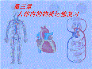 《人體內(nèi)的物質(zhì)運輸》復(fù)習(xí).ppt