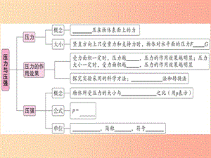 2019年八年級物理下冊 第九章 第1節(jié) 壓強（第1課時 壓力與壓強）習(xí)題課件 新人教版.ppt