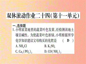 2019年秋九年級化學全冊 雙休滾動作業(yè)（24）習題課件（新版）魯教版.ppt