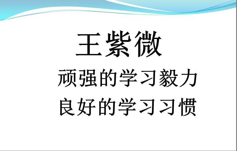 《语法专题之词类》PPT课件.ppt_第2页