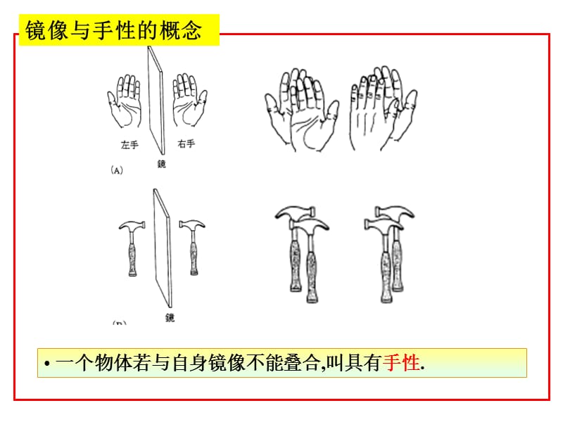 食品10-第五章旋光异构.ppt_第3页