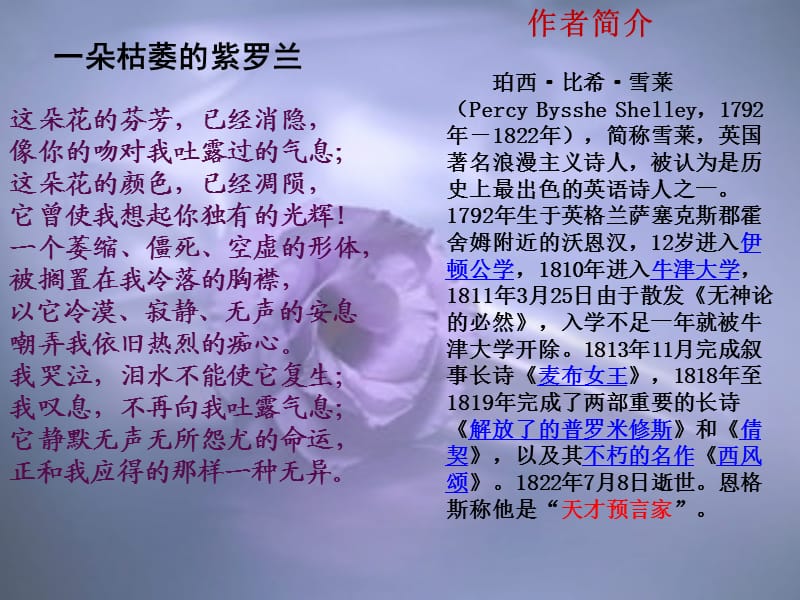 《朵枯萎的紫罗兰》PPT课件.ppt_第2页