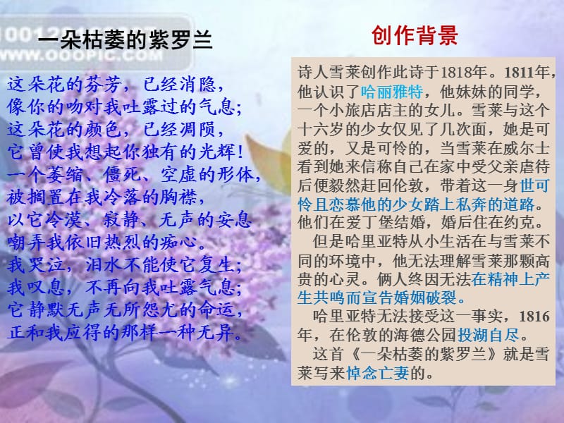 《朵枯萎的紫罗兰》PPT课件.ppt_第3页