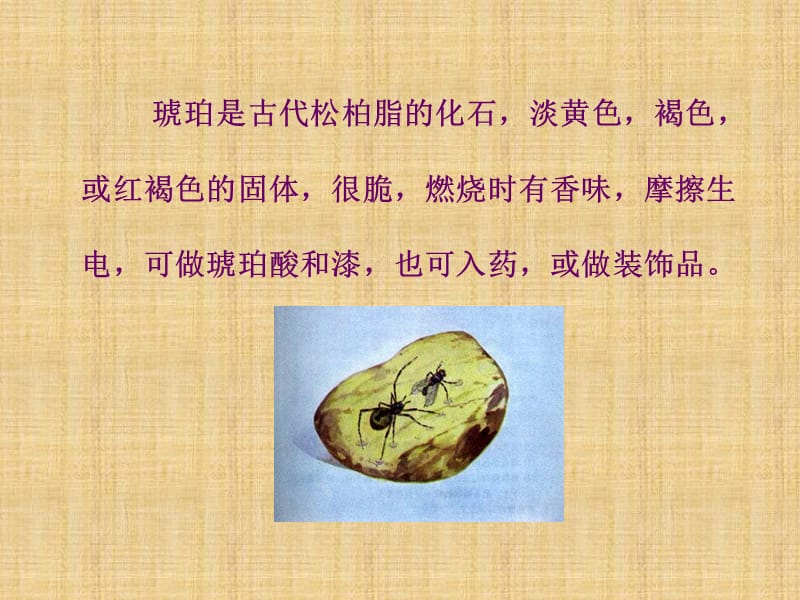 《奇异的琥珀》课件(沪教版五年级语文上册课件).ppt_第2页