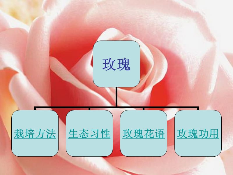 《雅俗共赏是玫瑰》PPT课件.ppt_第2页