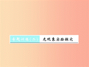 （湖北專用）2019-2020八年級(jí)物理上冊 專題訓(xùn)練二 光現(xiàn)象實(shí)驗(yàn)探究習(xí)題課件 新人教版.ppt